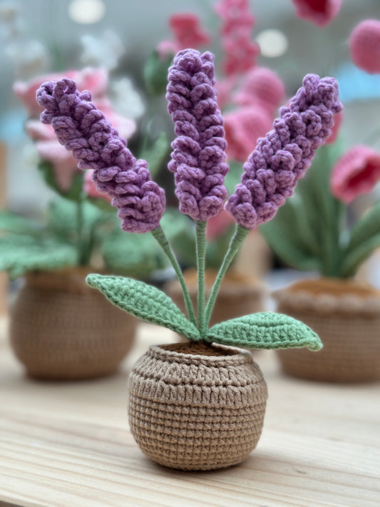 Lavender Amigurumi