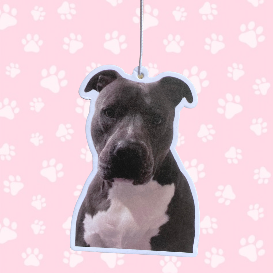 Staffy Air Freshener