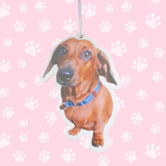 Realistic Dachshund Air Freshener